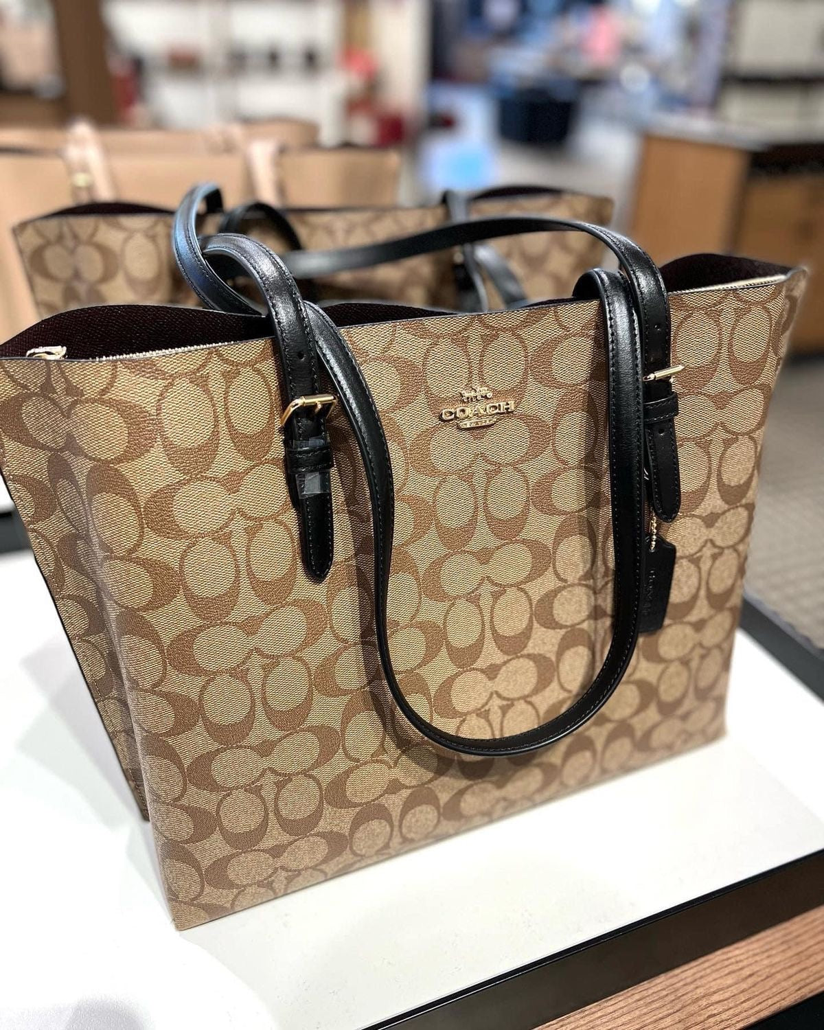 Coach mollie tote in signature canvas ( brown )