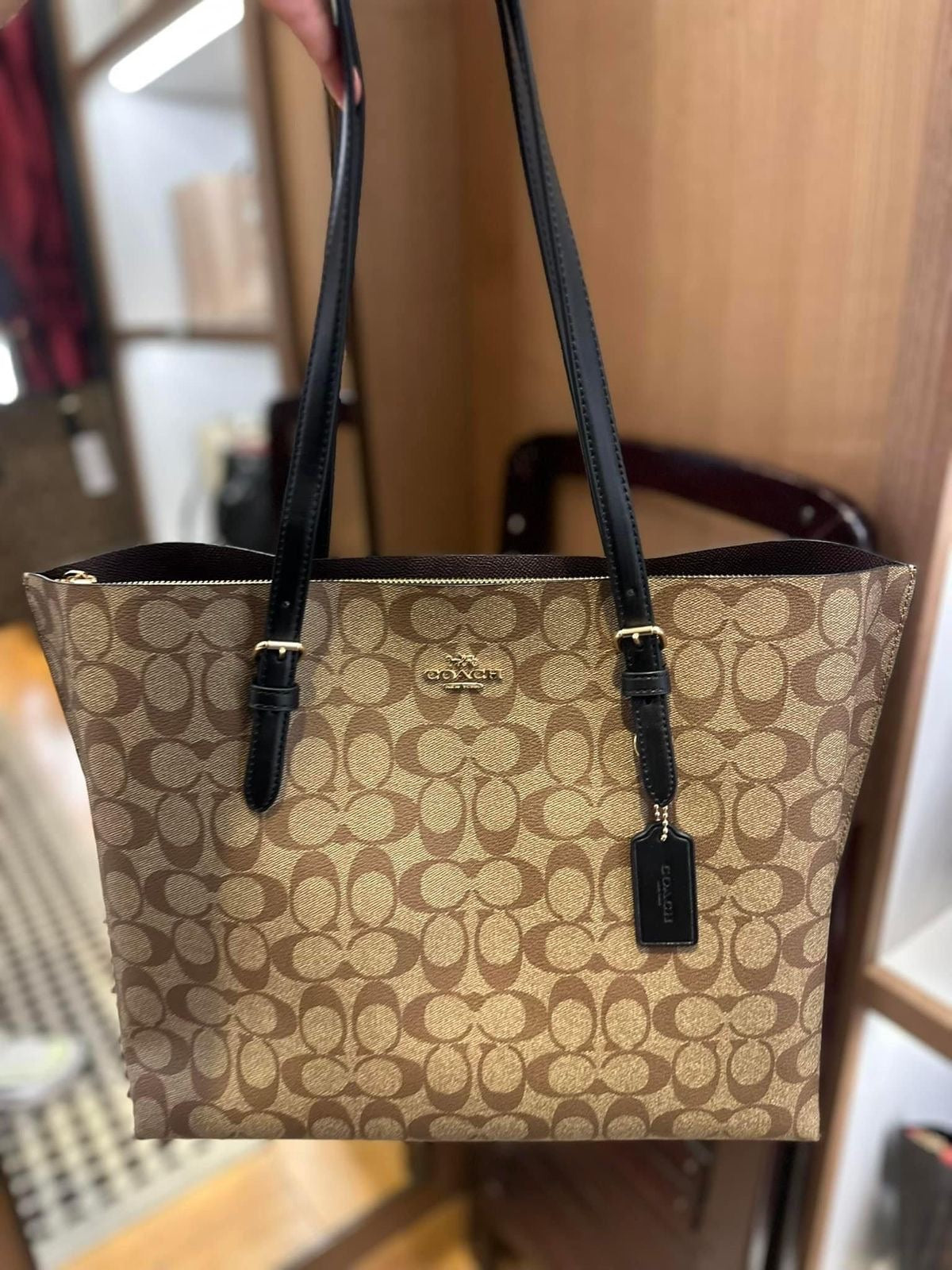 Coach mollie tote in signature canvas ( brown )