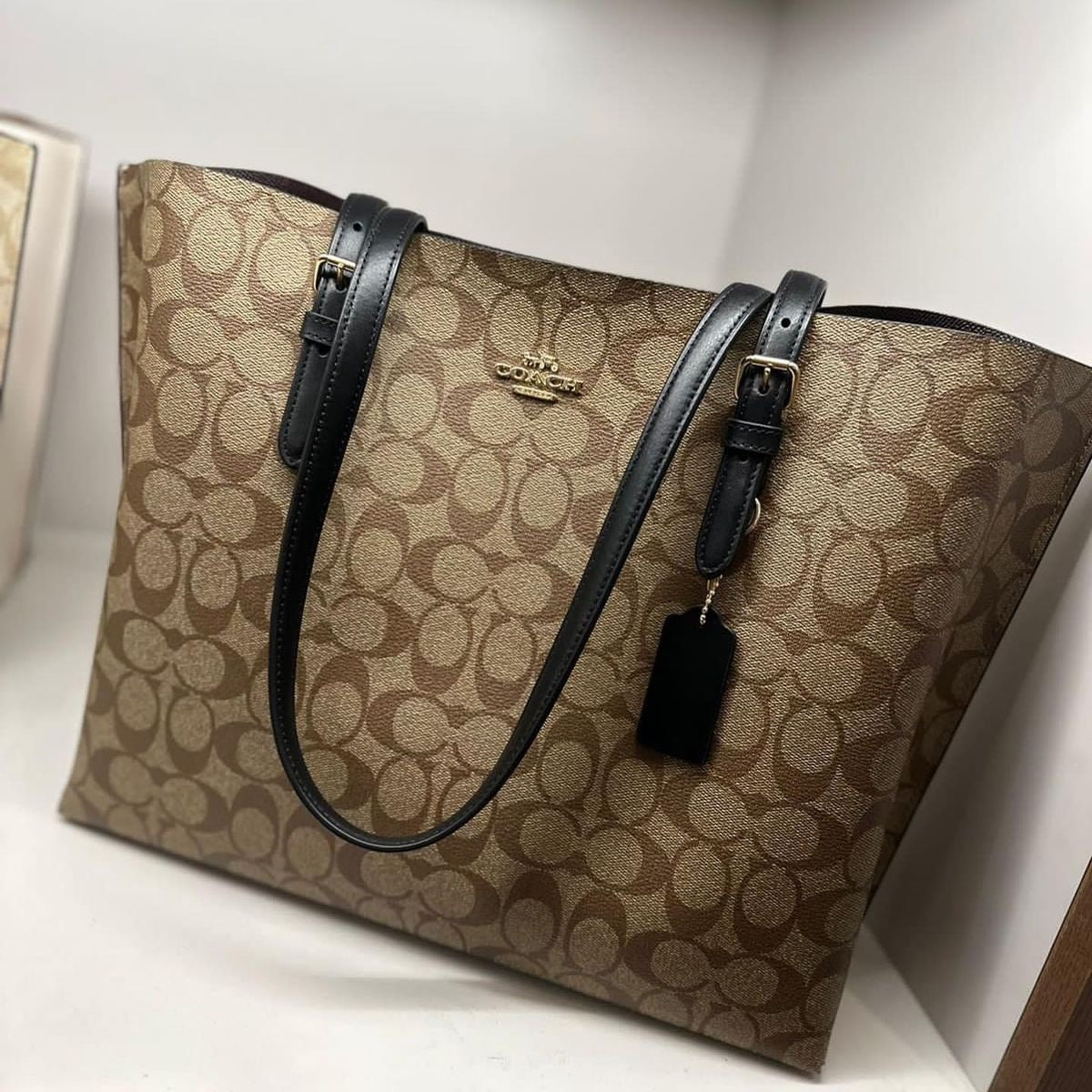 Coach mollie tote in signature canvas ( brown )