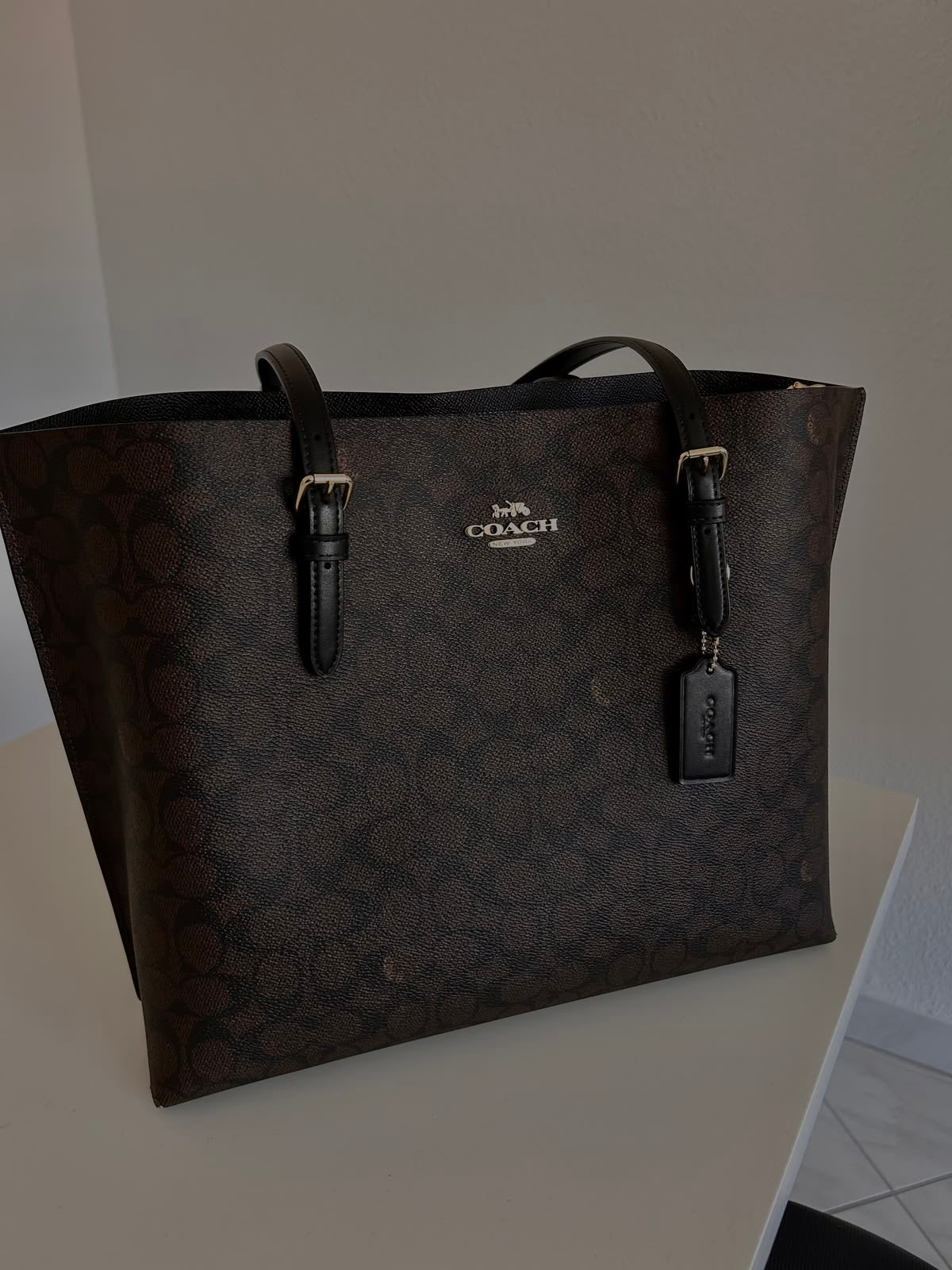 Coach Mollie signature canvas
