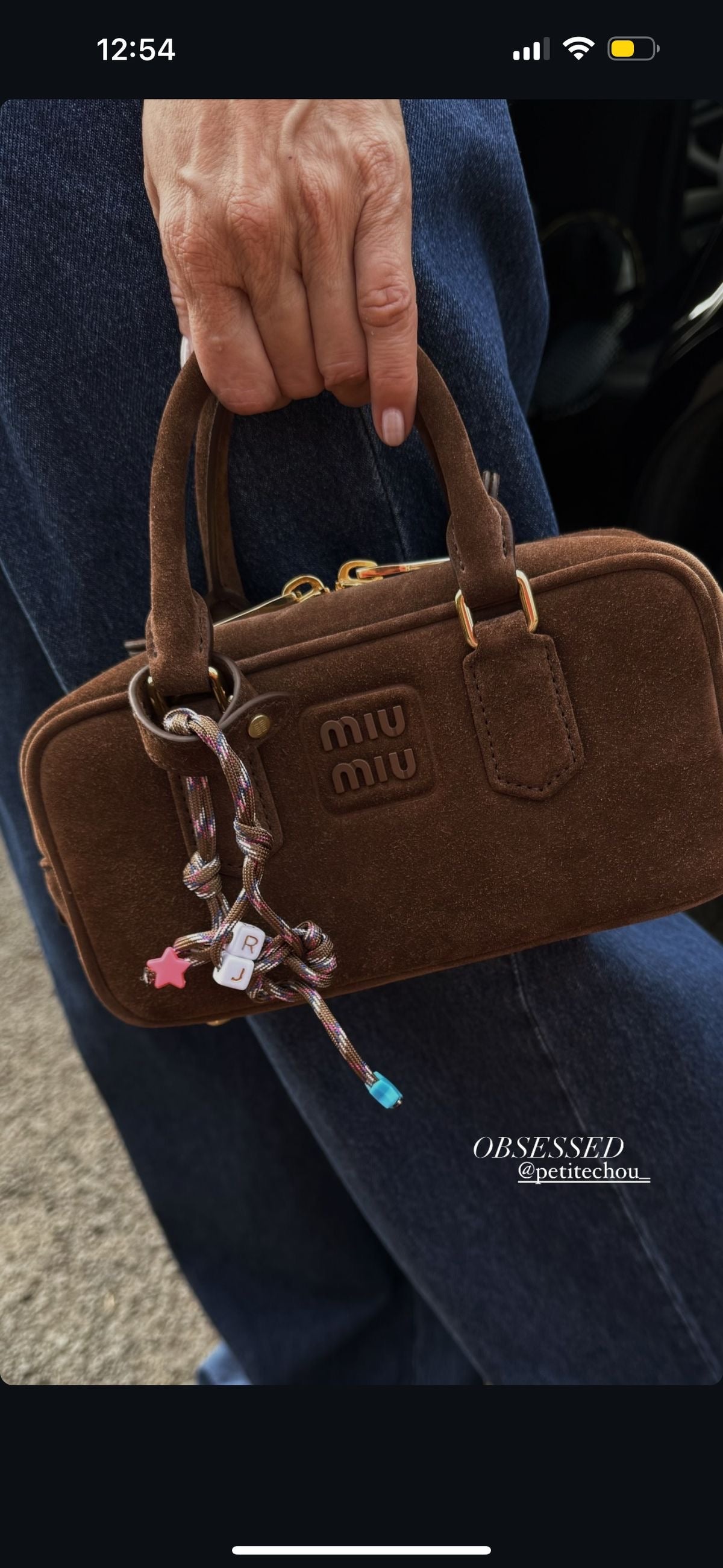 Miu Miu
Arcadie suede bag