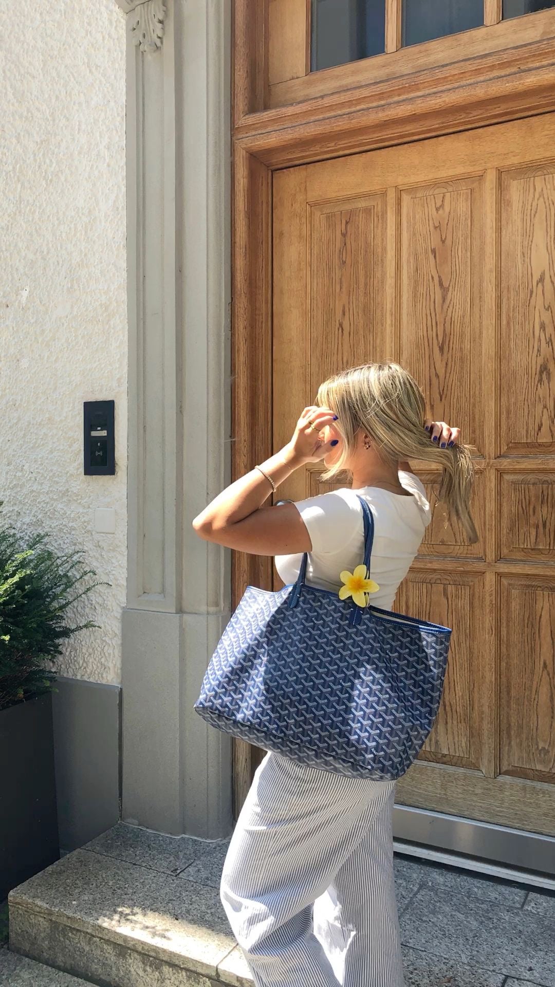 Goyard Anjou tote ( blue )