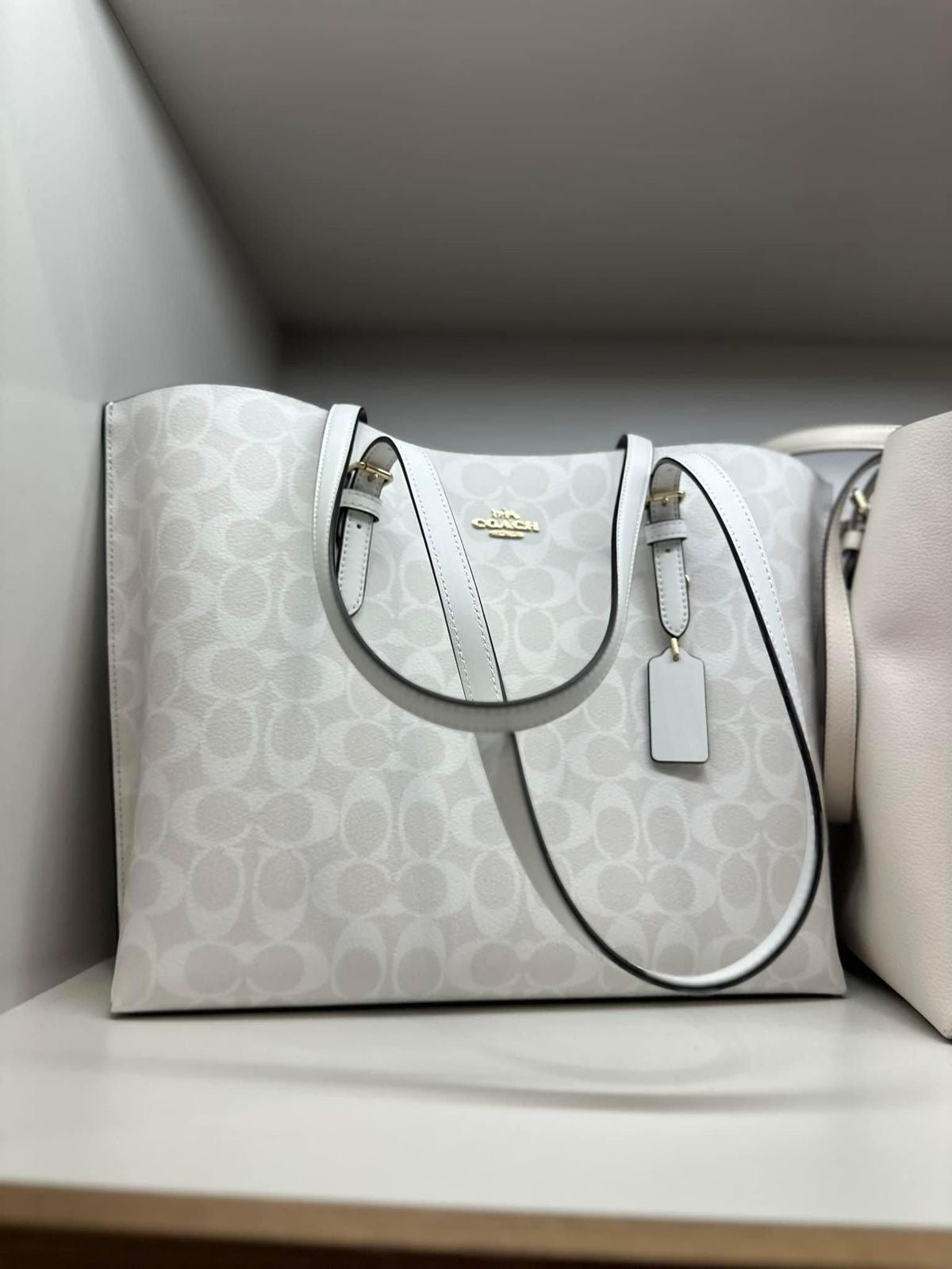 Coach mollie tote in signature canvas ( white )