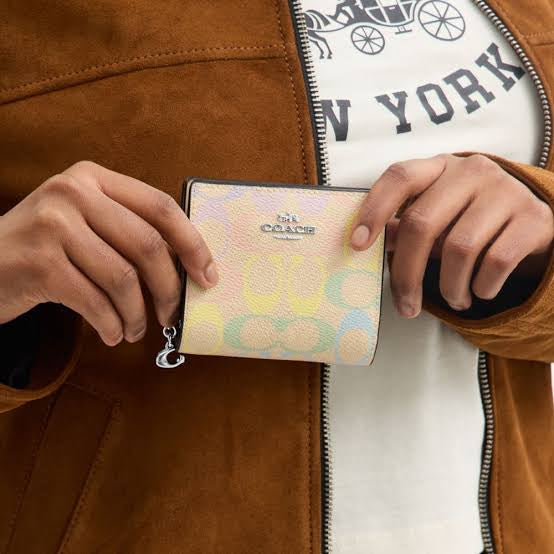 Coach Snap Wallet In Rainbow Signature Canvas