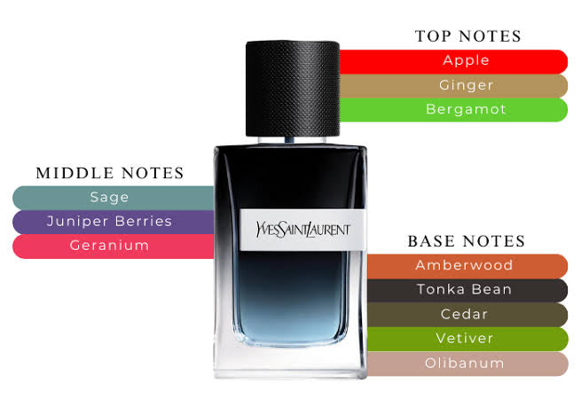 Ysl Men EDP