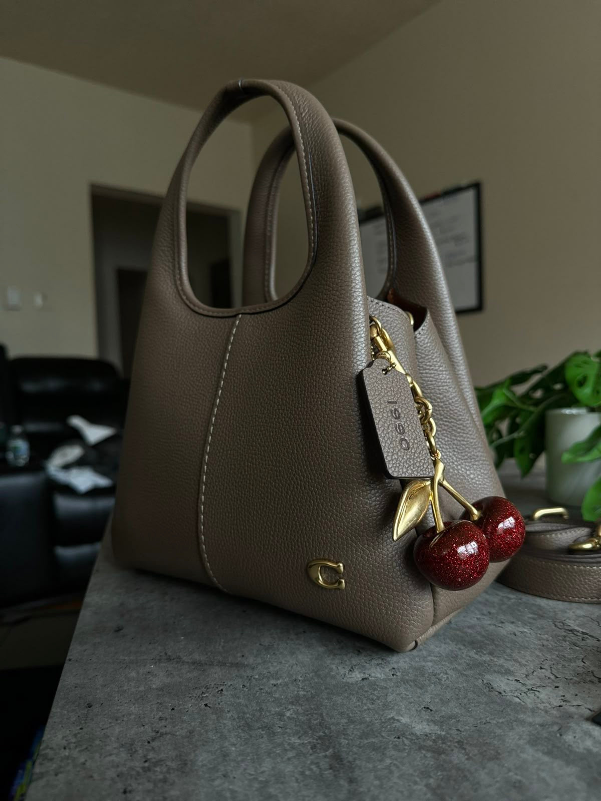 Coach Lana Shoulder Bag 23