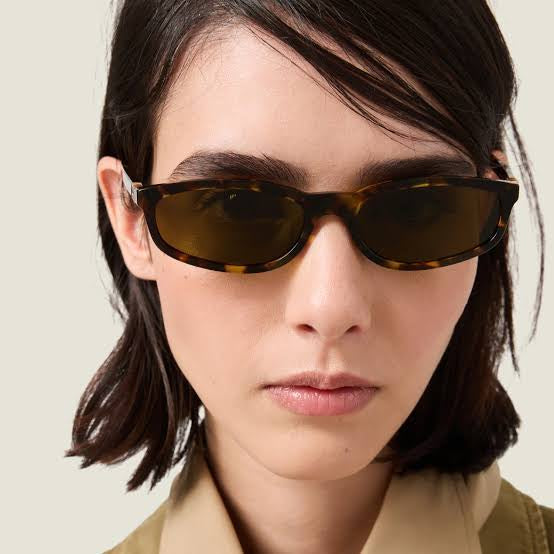 Miu Miu Regard sunglasses brown