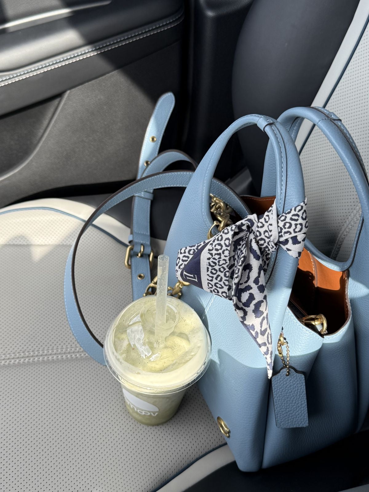 Coach Lana Shoulder Bag 23