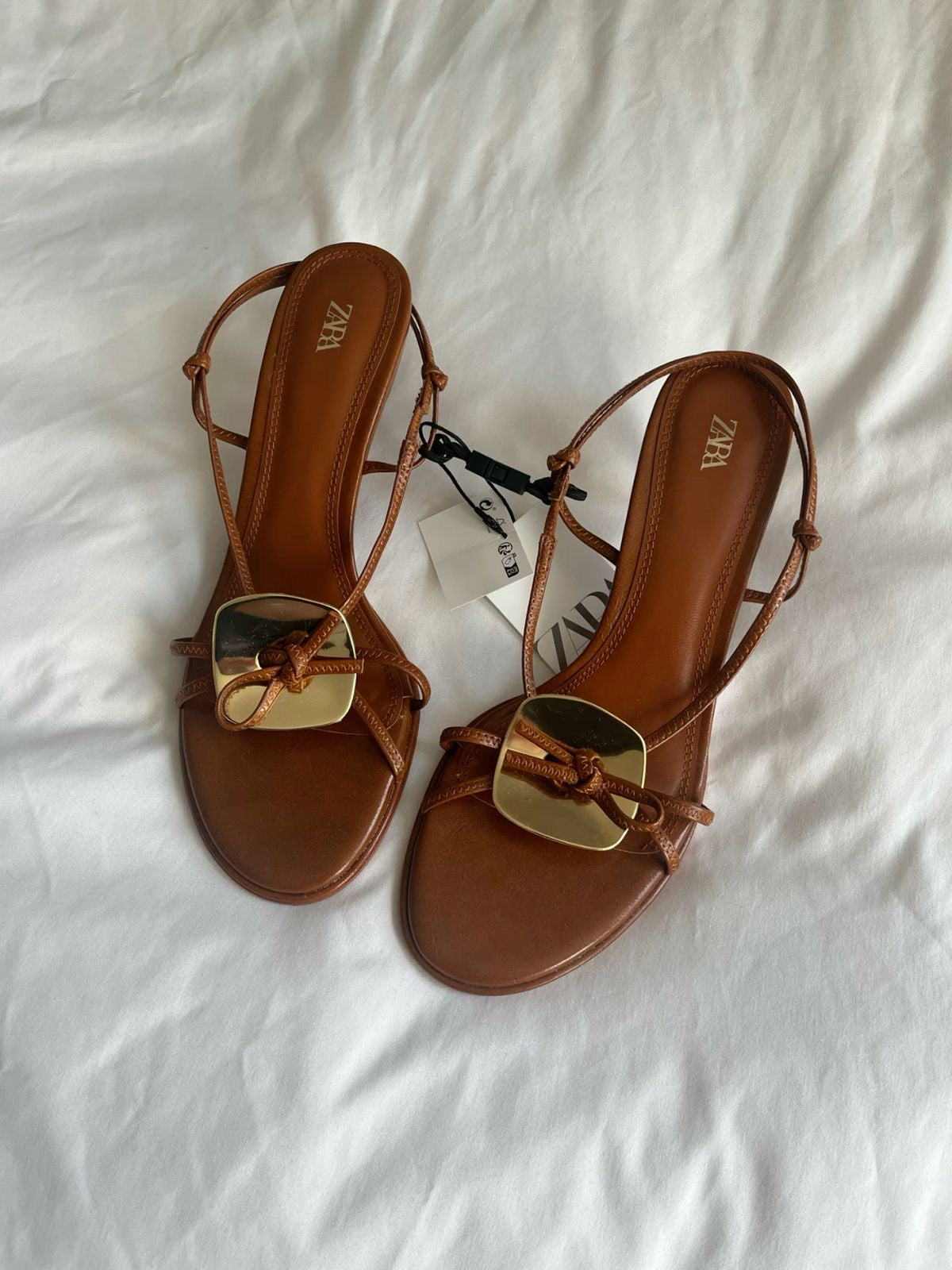 Zara brown kittens