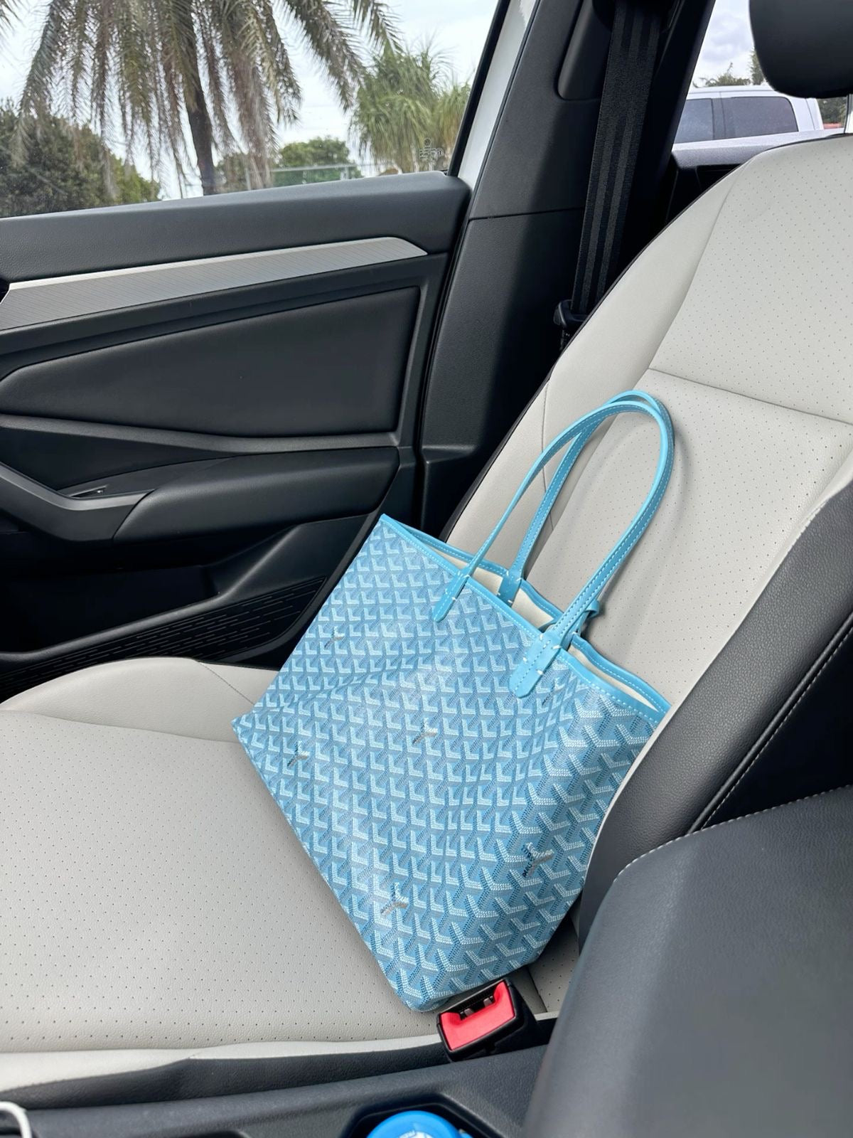 Goyard Medium tote sky blue