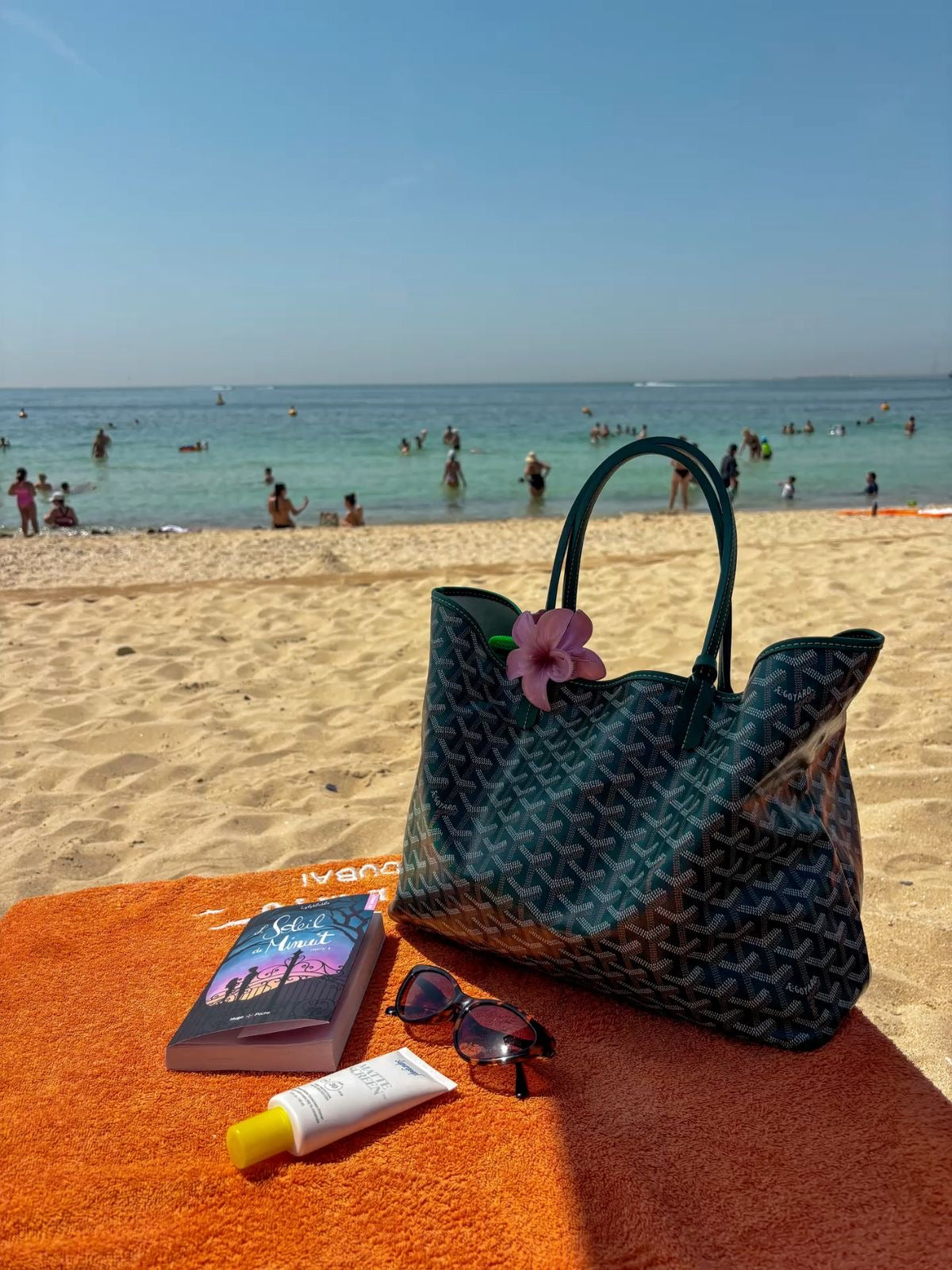 Goyard Medium tote green