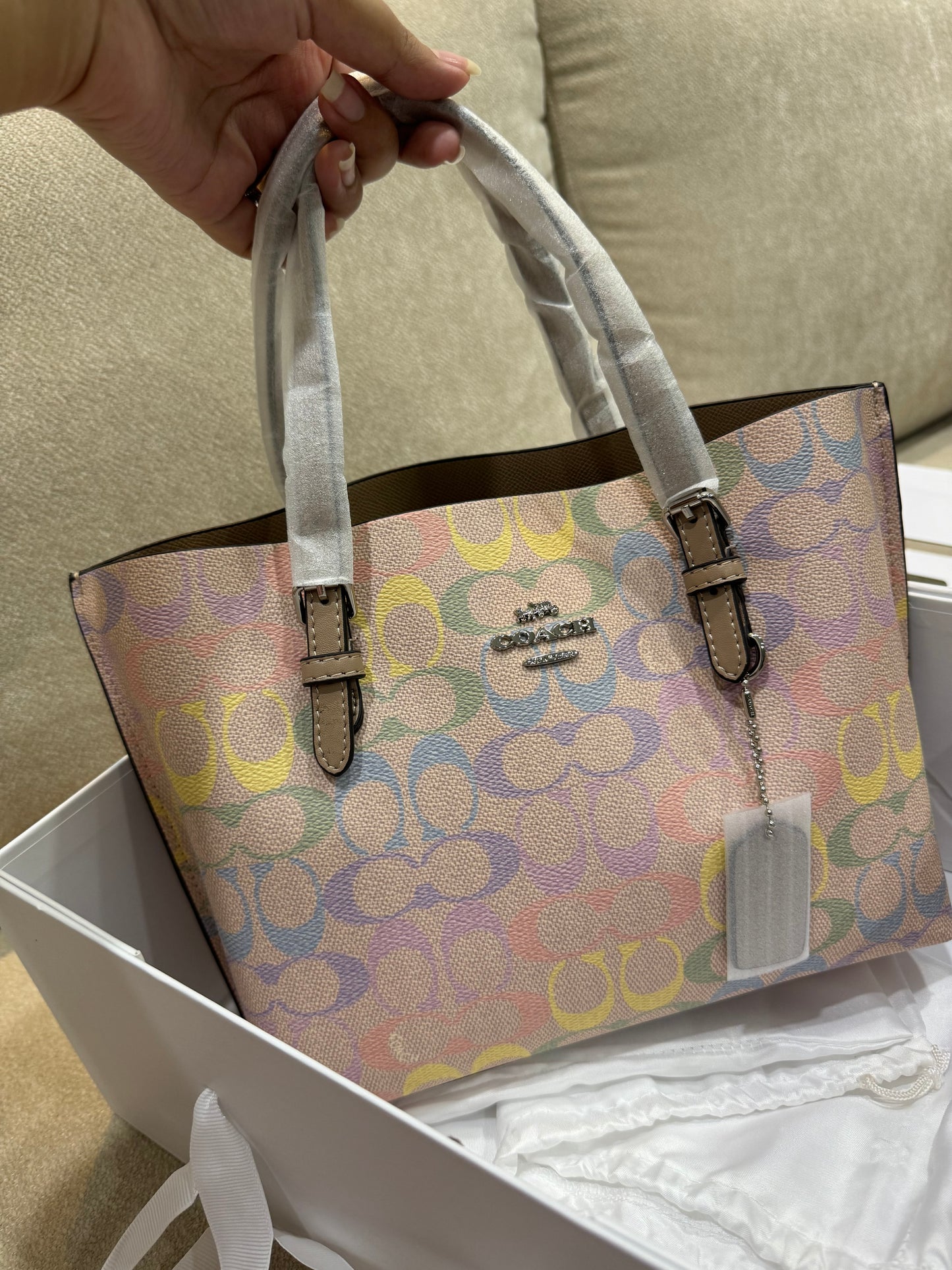 Coach mini mollie Bag In rainbow Signature Canvas