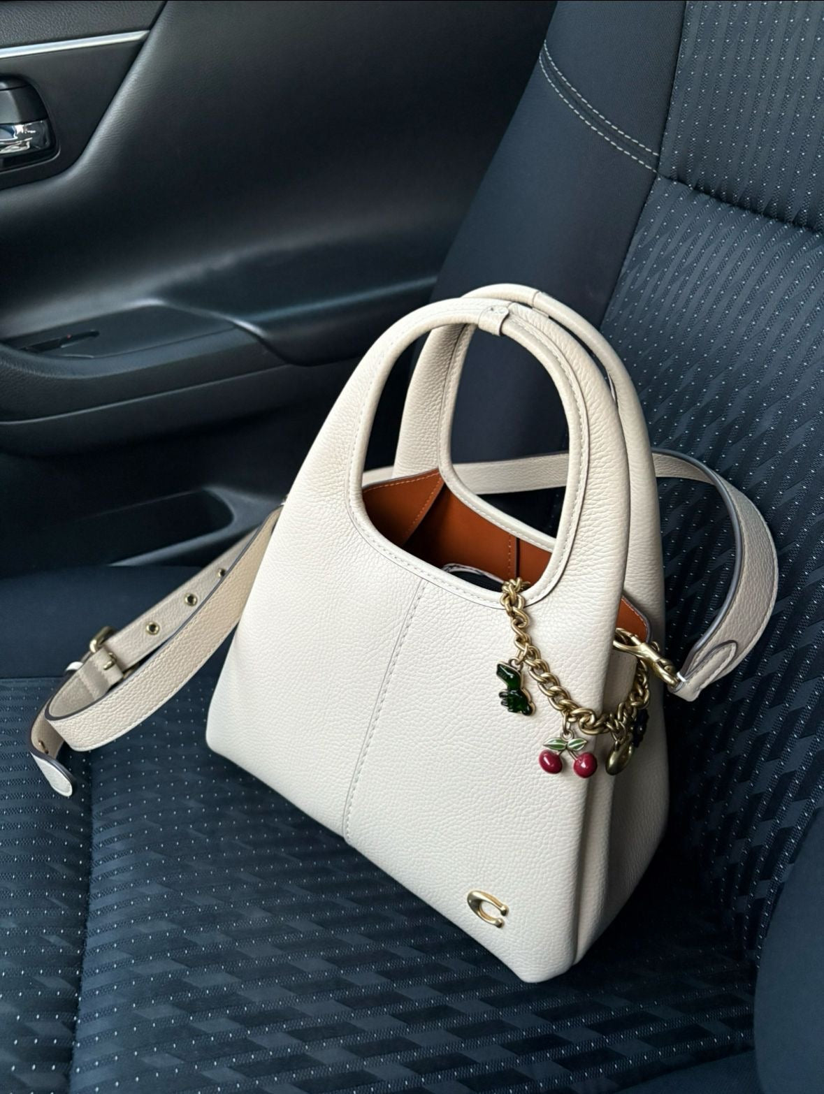 Coach Lana Shoulder Bag 23