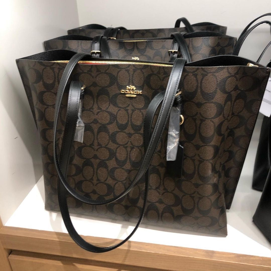 Coach mollie tote in signature canvas ( coffee )
