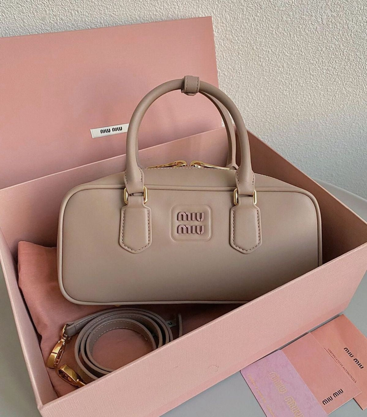 Miu Miu bag