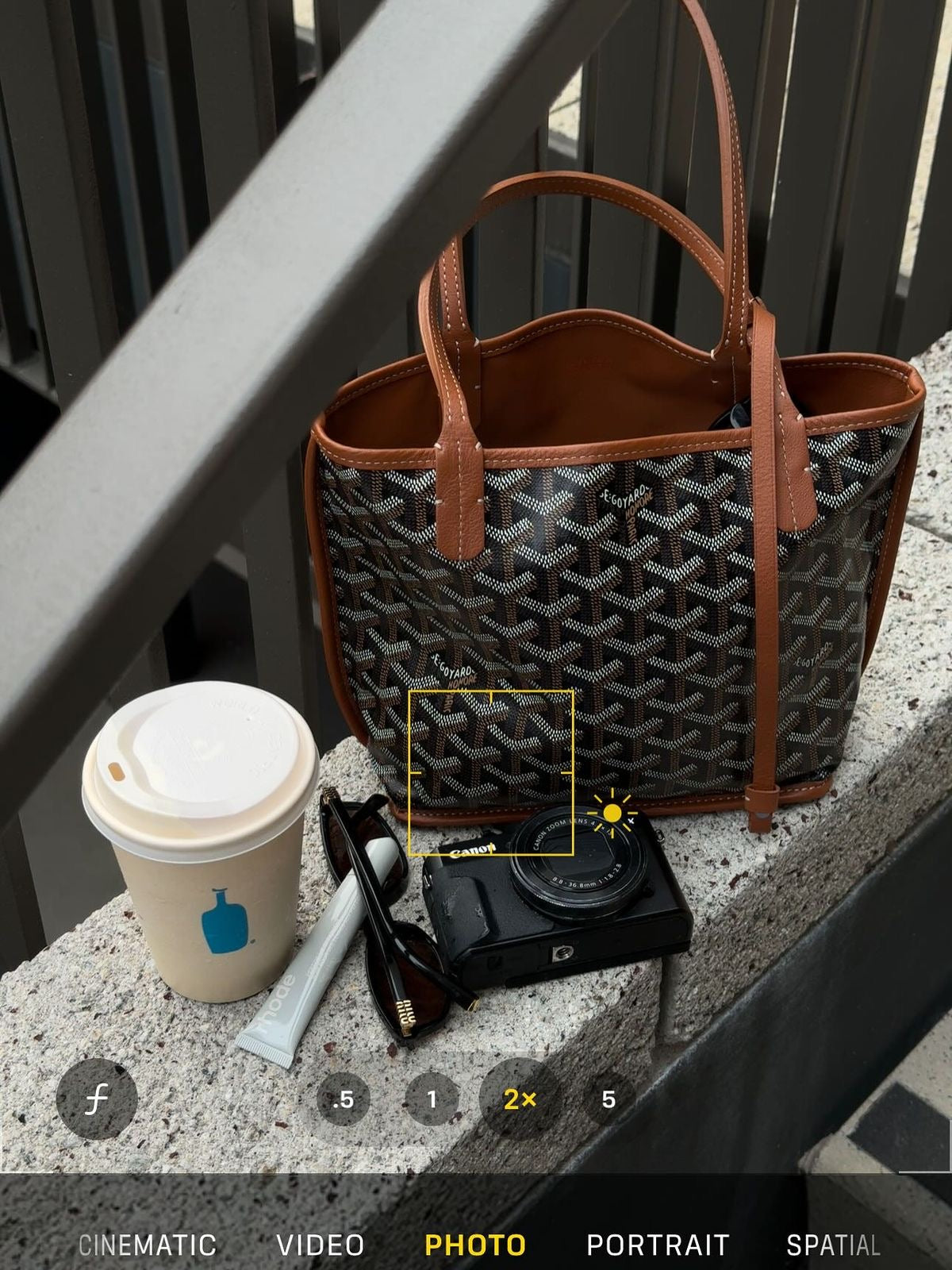 Goyard mini tote tan