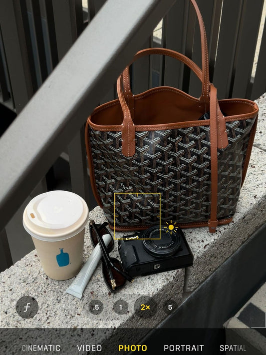 Goyard mini tote tan