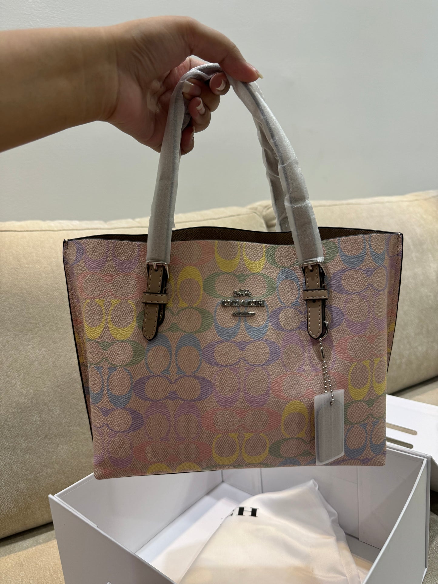 Coach mini mollie Bag In rainbow Signature Canvas