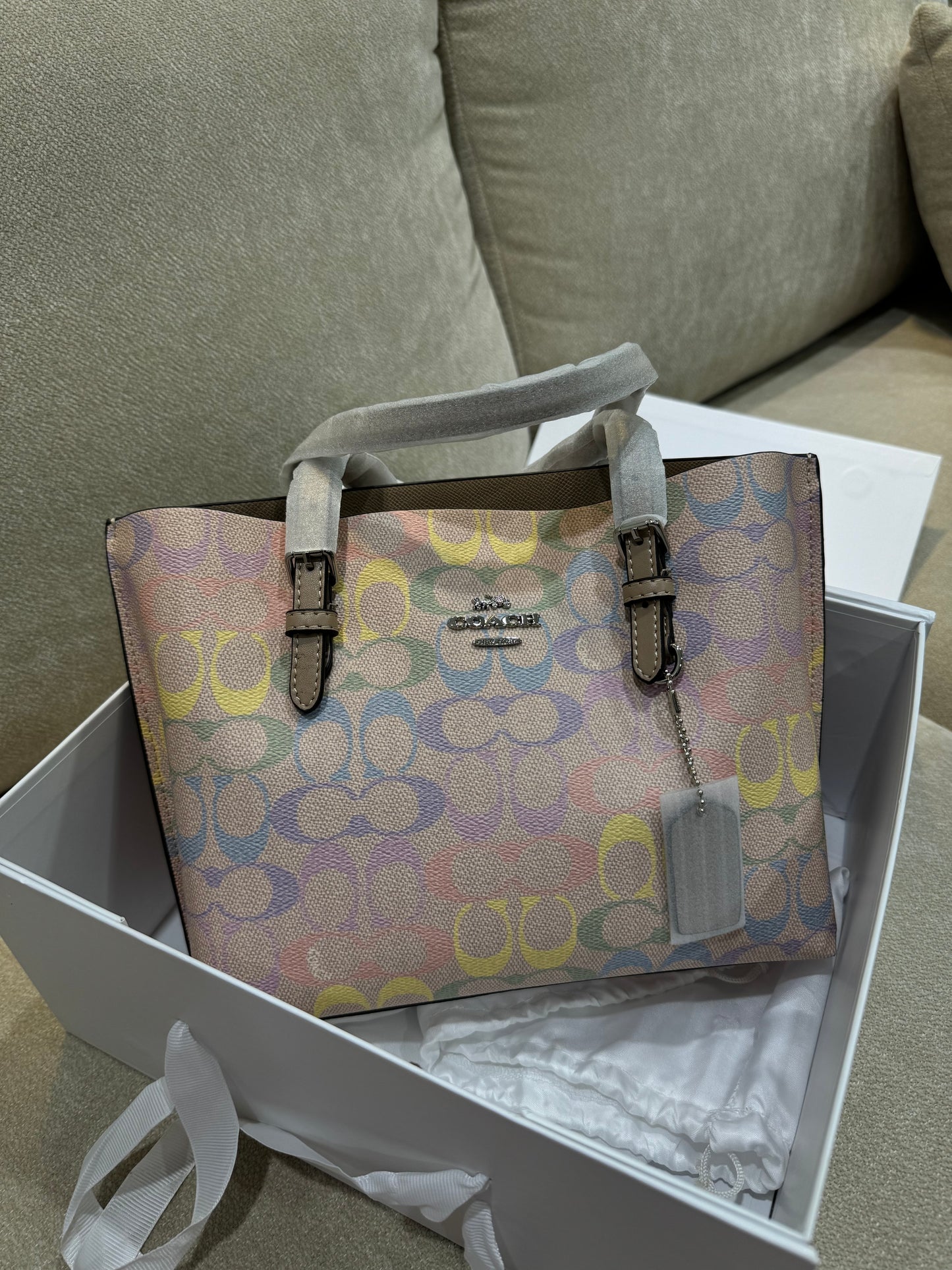 Coach mini mollie Bag In rainbow Signature Canvas