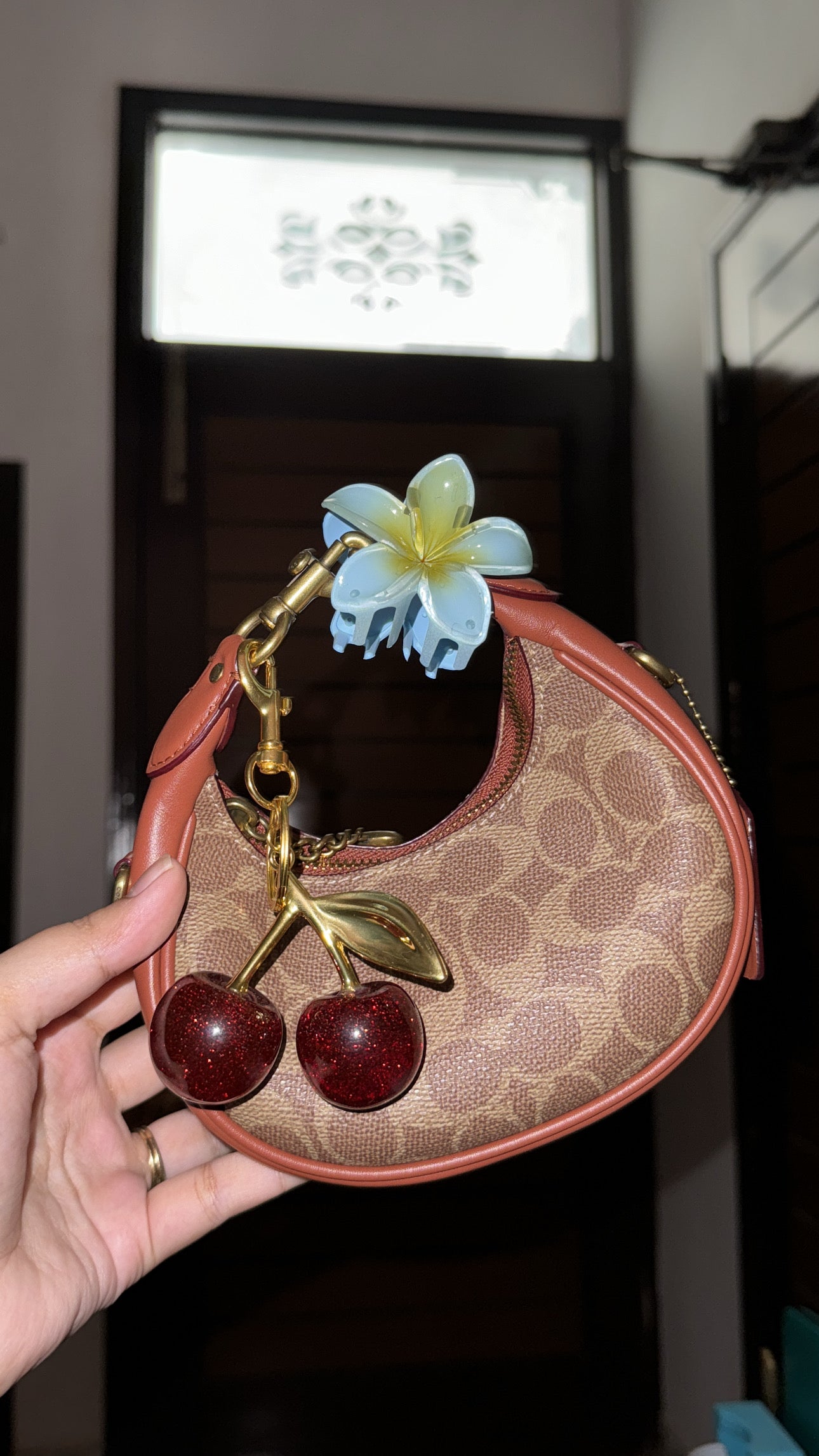 🍒 bag charm