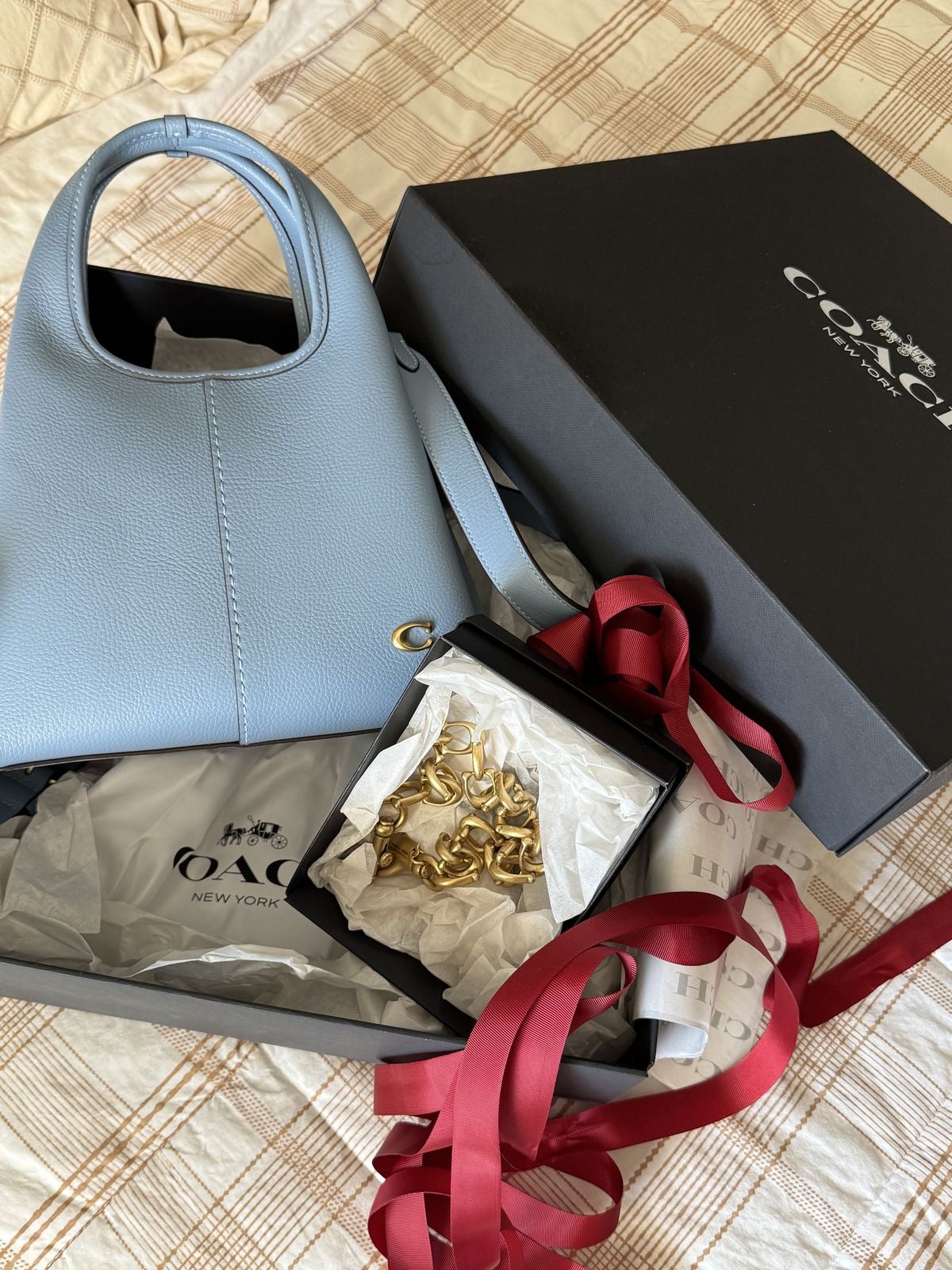 Coach Lana Shoulder Bag 23