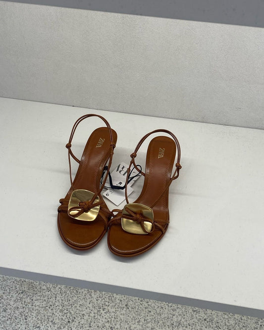 Zara brown kittens