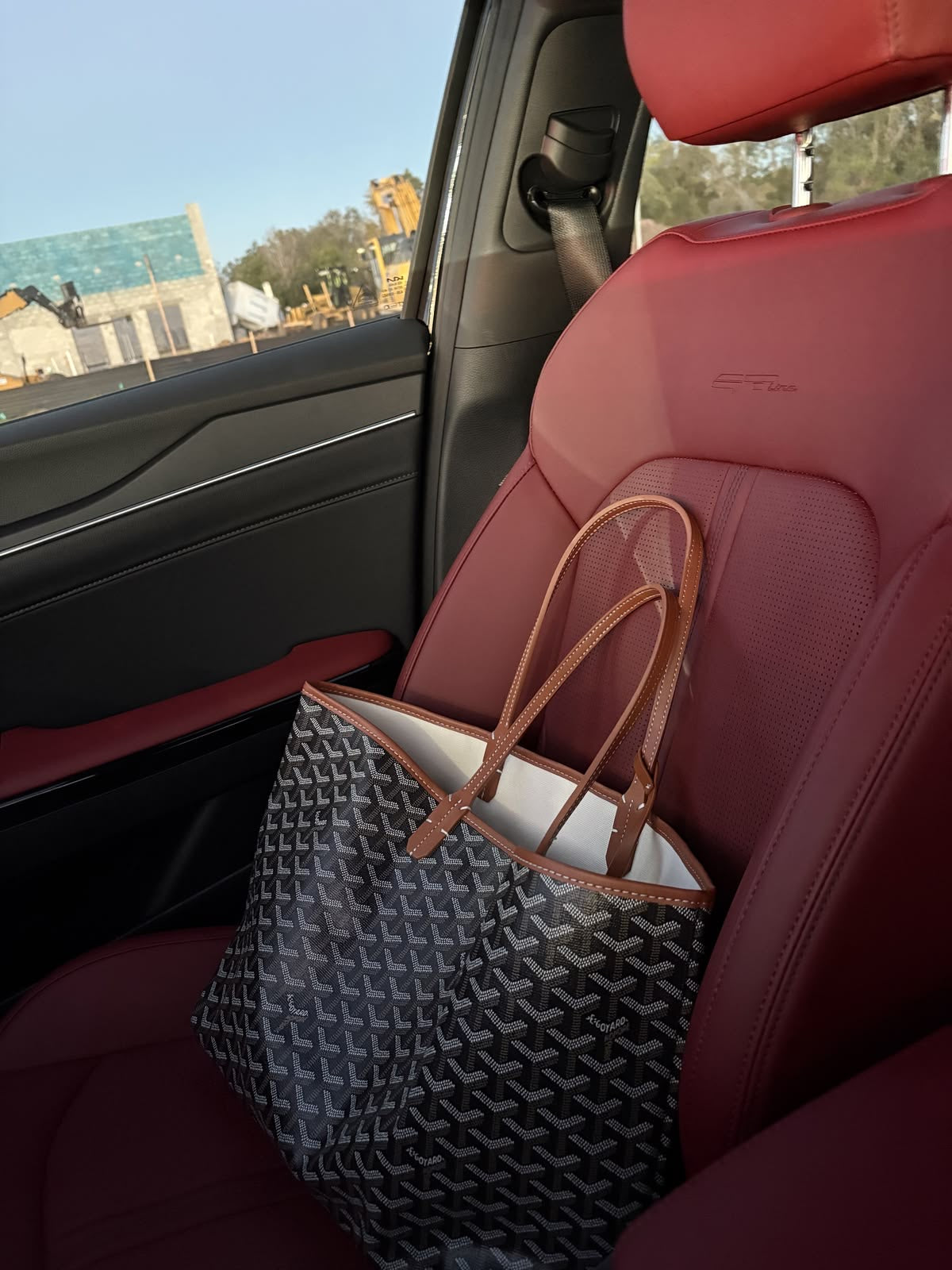 Goyard medium tote tan