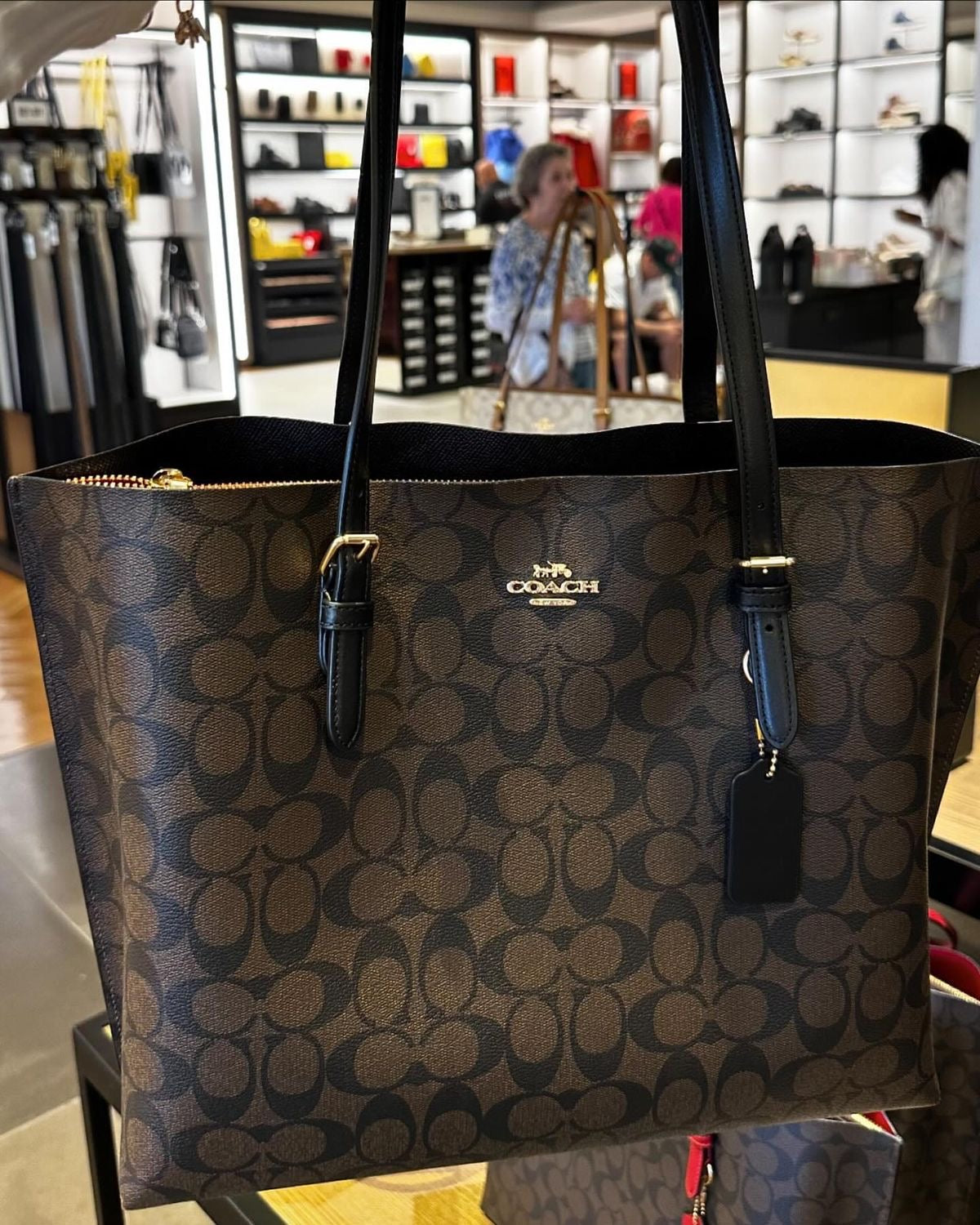 Coach mollie tote in signature canvas ( coffee )