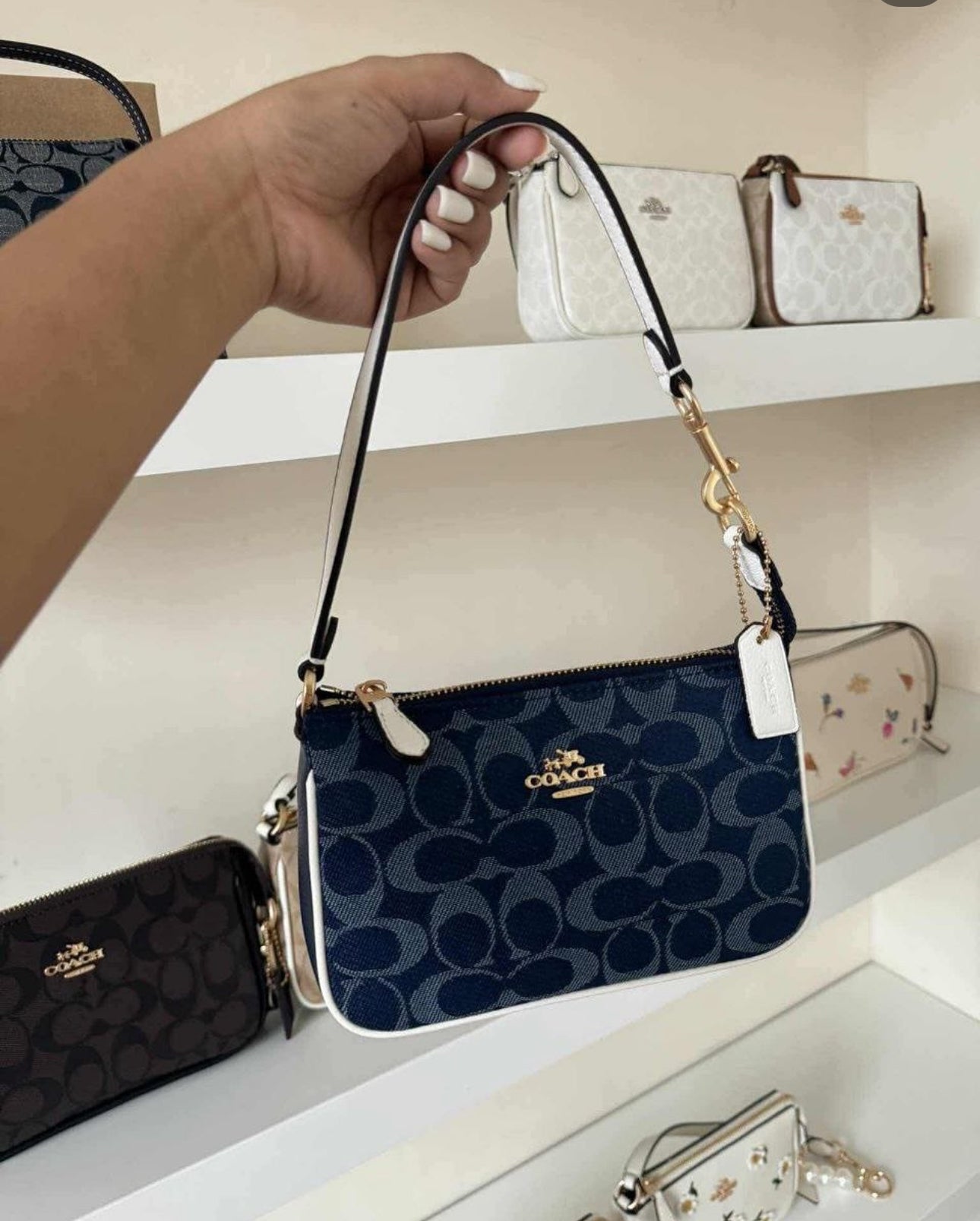 COACH | Nolita 19 Signature signature canvas blue